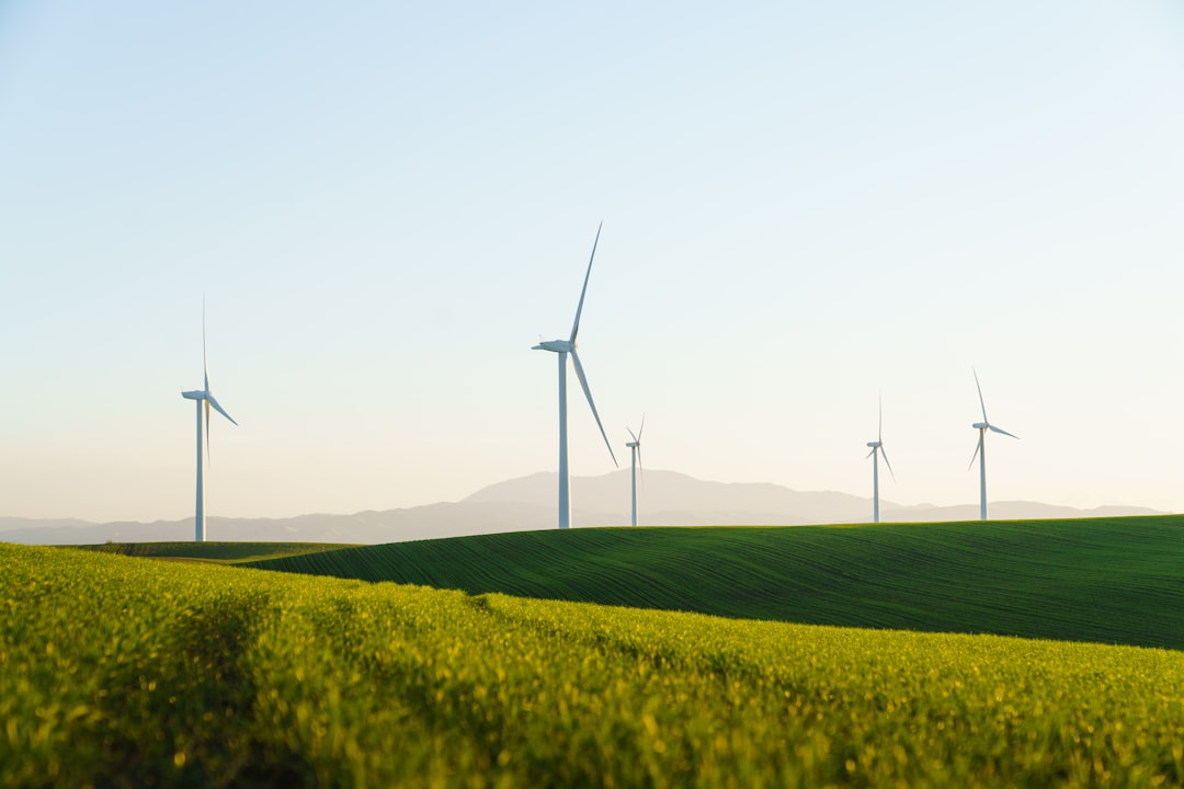 a-field-of-green-grass-with-wind-turbines-in-the-background-baxcv2qg9ew